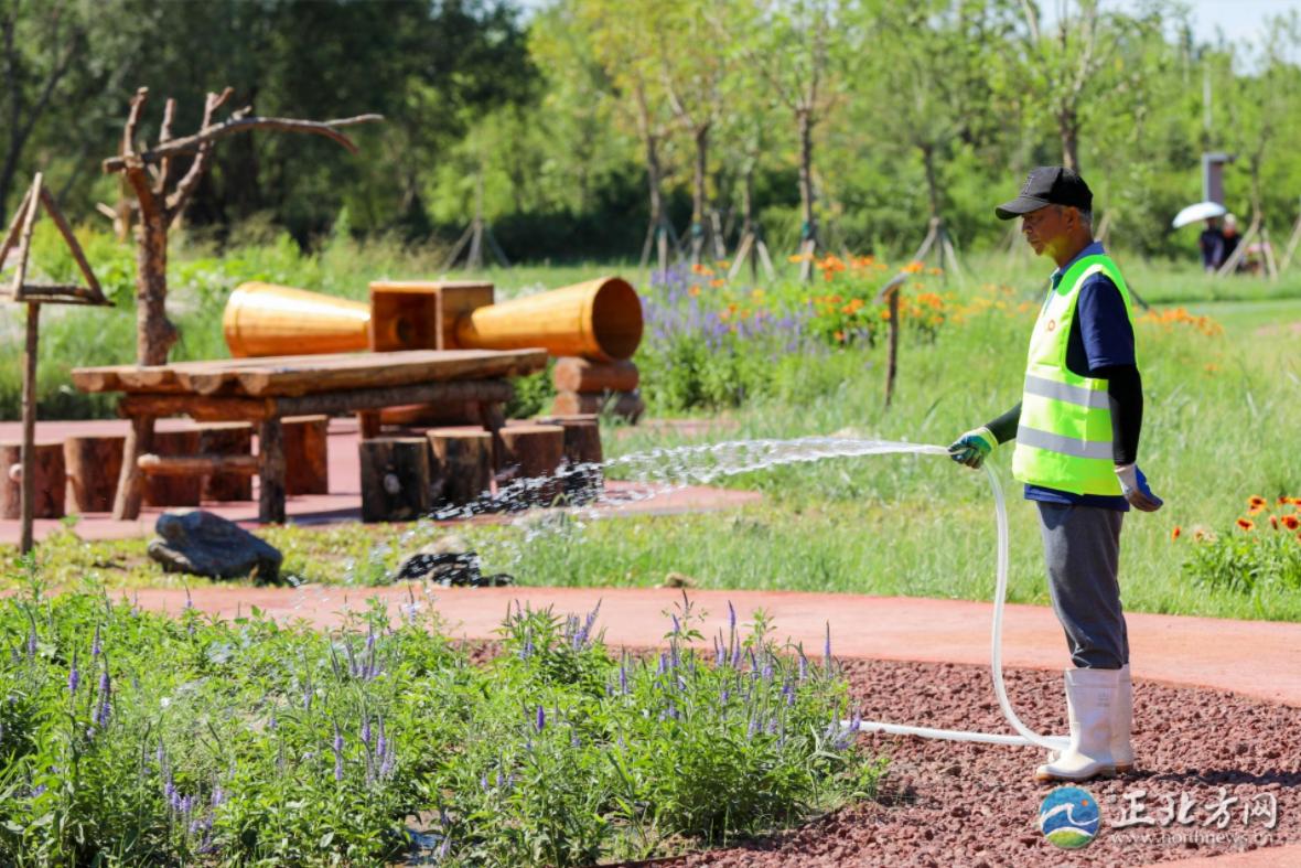 漫步城中,漫步草原美景