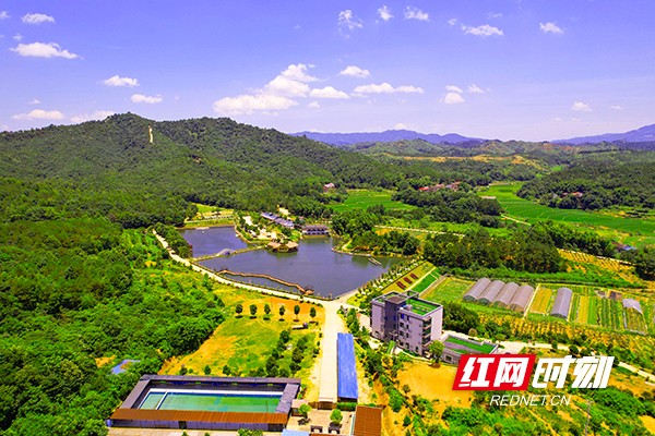 衡东县美丽乡村建设,城镇面貌焕然一新图片