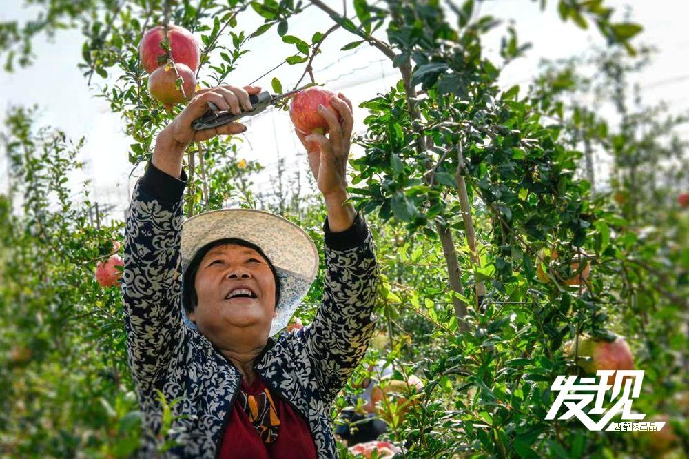 潼关古城唯一保存至今的街区,今日的潼关古城