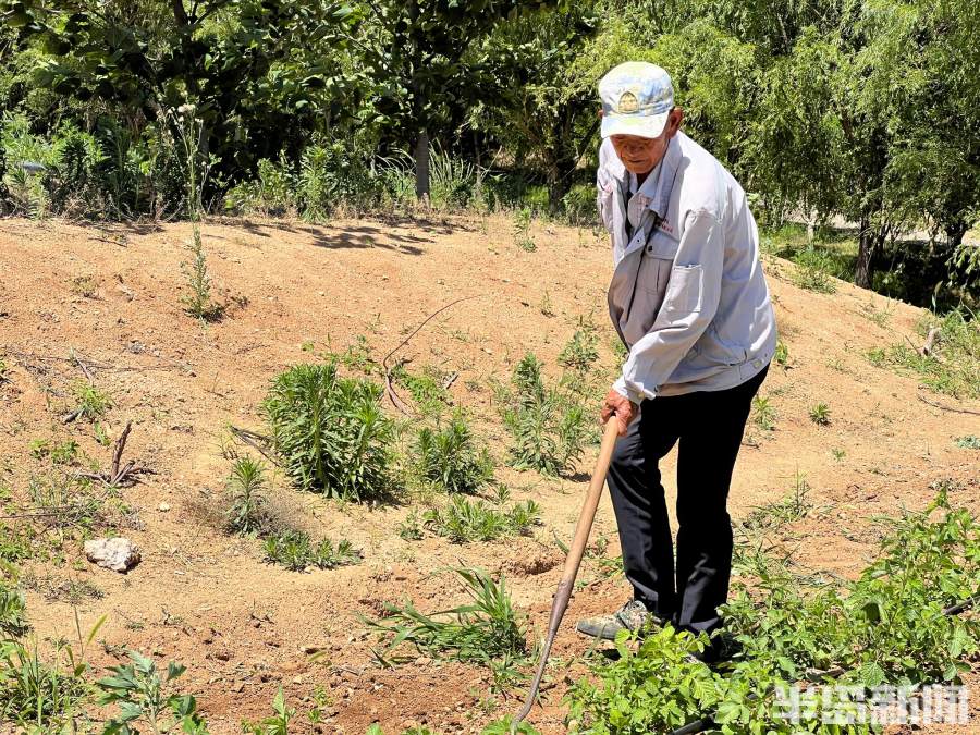 松下问童子言师采药去书法落款,松下问童子言师采药去采的什么药