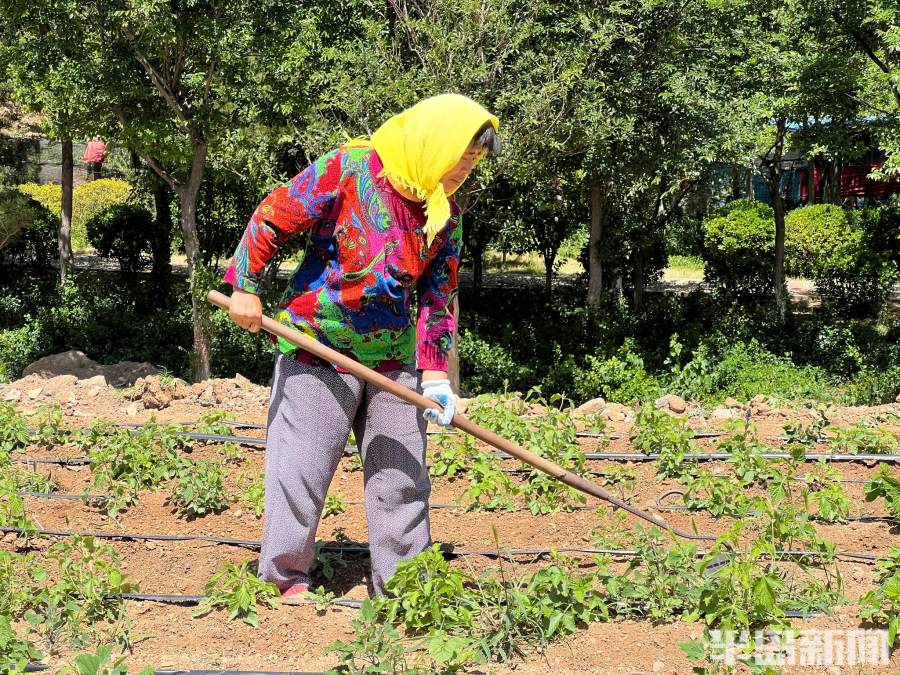 松下问童子言师采药去书法落款,松下问童子言师采药去采的什么药