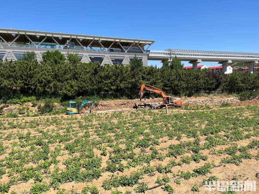 松下问童子言师采药去书法落款,松下问童子言师采药去采的什么药