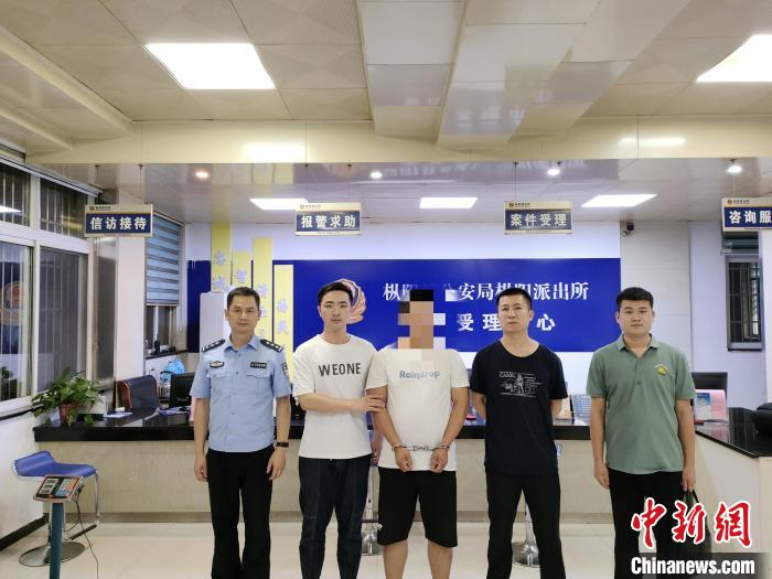 安徽定远网络诈骗案,合肥查获网络犯罪团伙