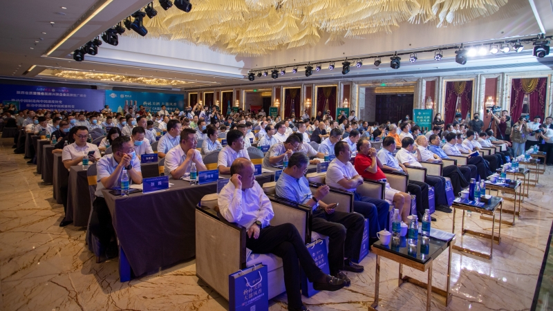 中国品牌日陕西峰会,首届陕西省品牌大会