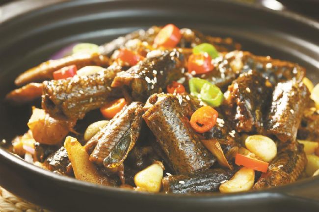 梅州网红打卡地美食五香甲鱼,钟祥最火网红餐厅甲鱼打卡地