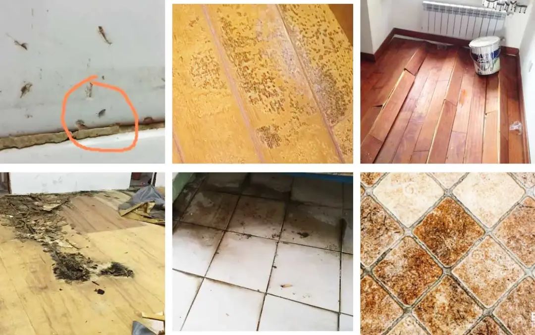 地板不沾灰,天天拖地板有什么危害