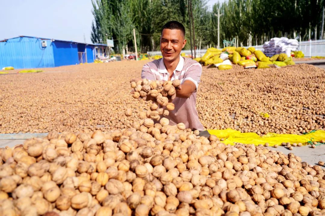非凡十年出彩孟津,非凡十年焕新启航