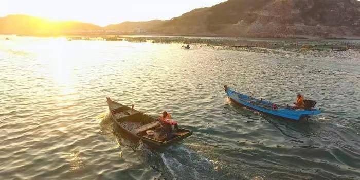 青未了|渔家的日子