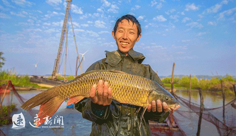 “迁宿迁创未来”⑤｜“五联五强”行动汇聚高质量发展动力源