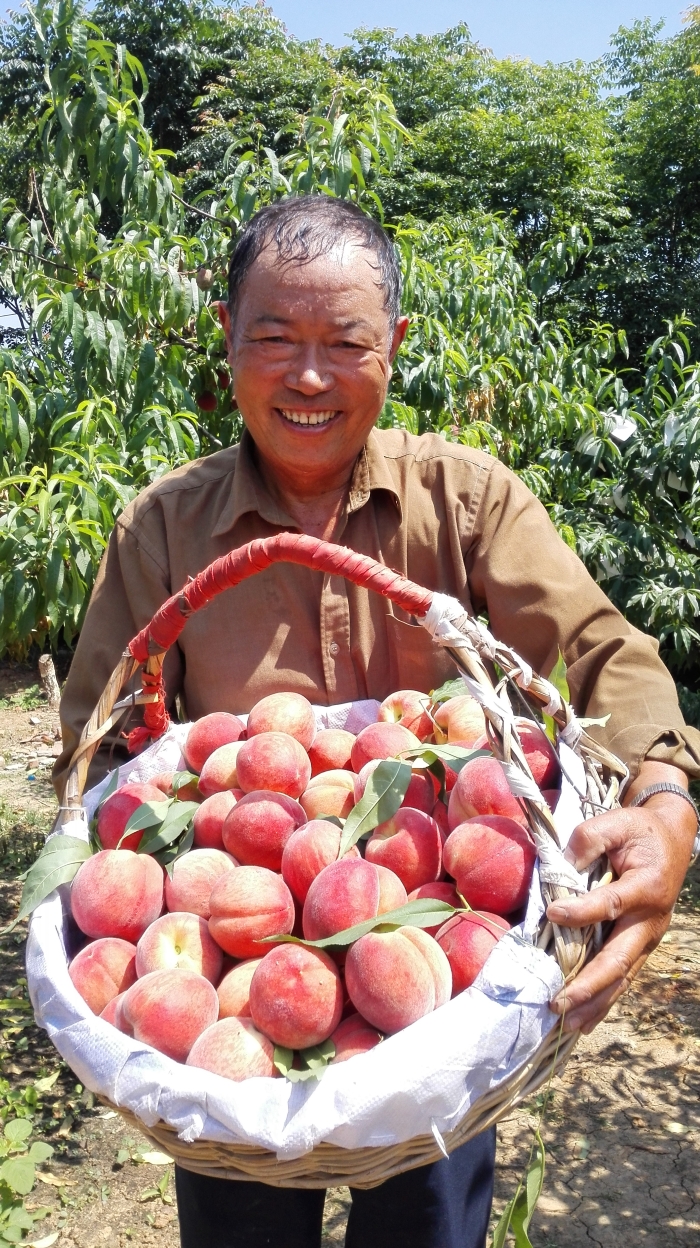共同富裕概念龙头是哪个,共同富裕龙头