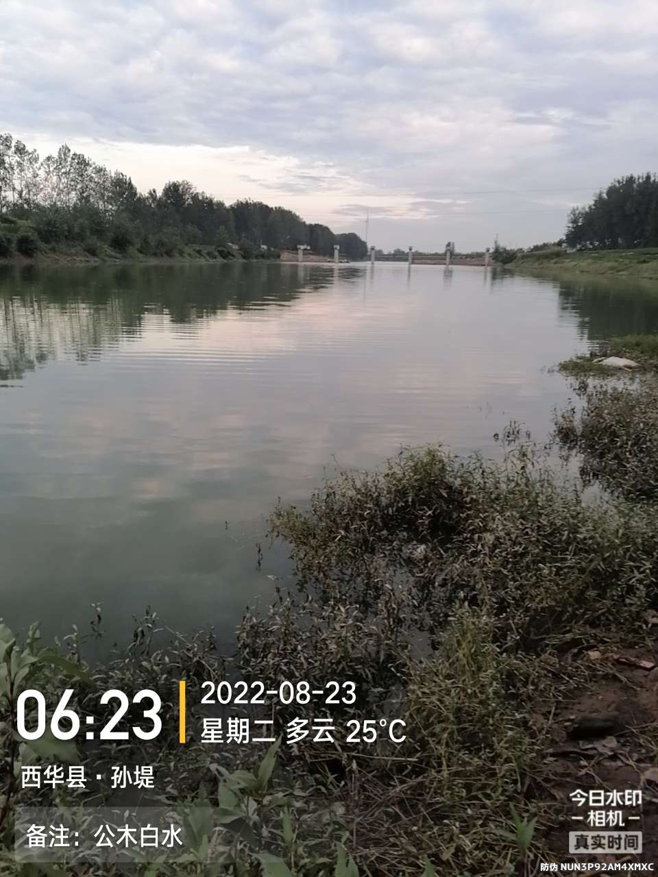 8月里面的鱼怎么钓,钓位选什么鱼最好