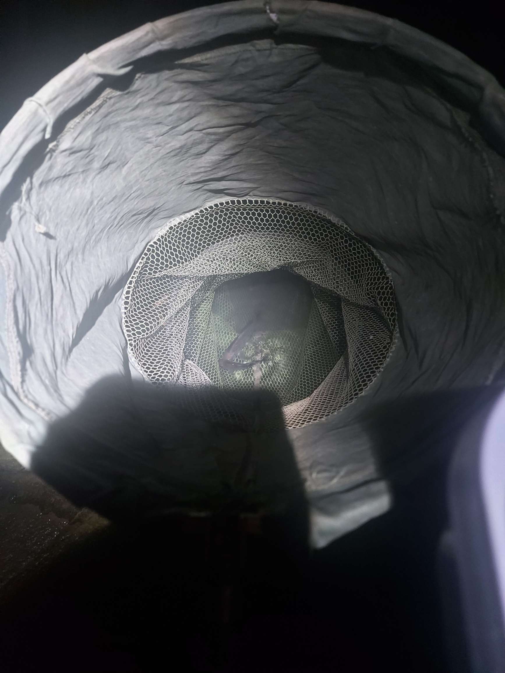 提前做“功课”，果然是不虚此行