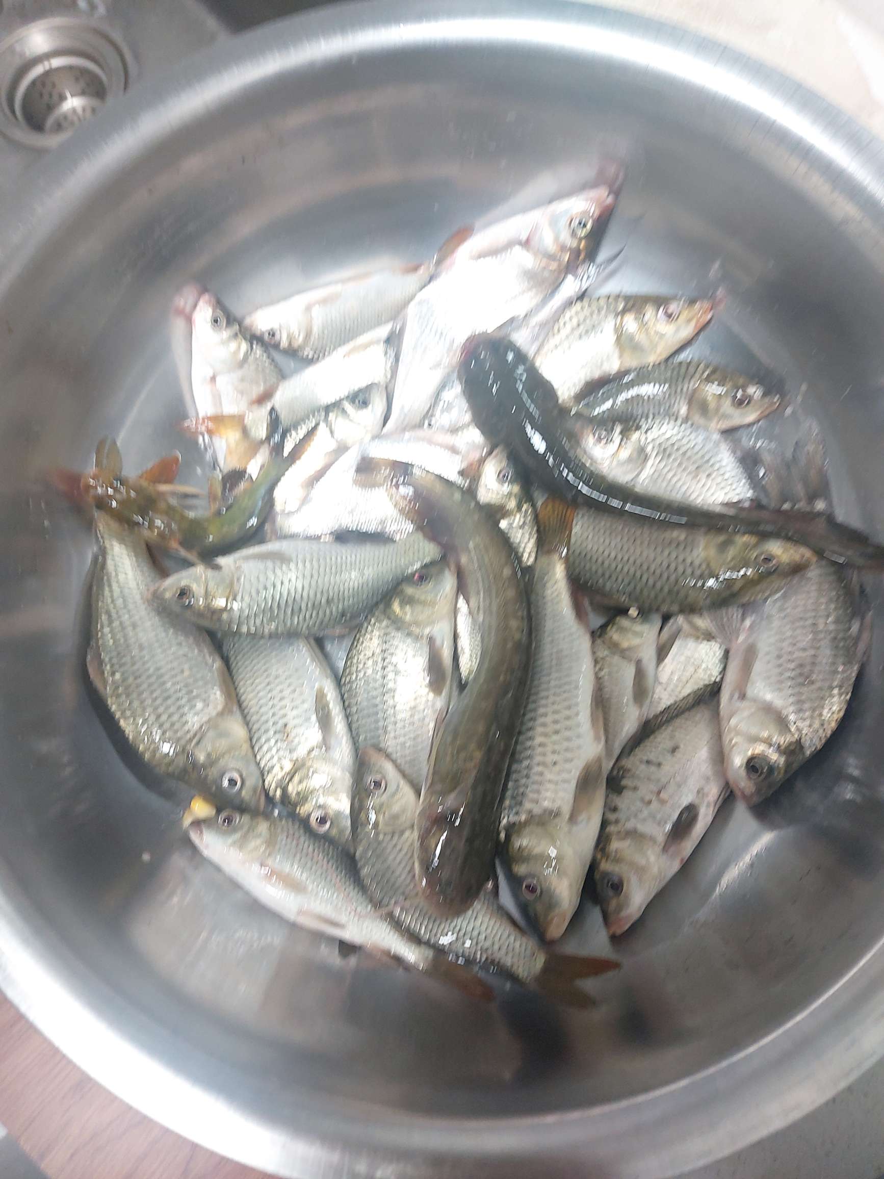 提前做“功课”，果然是不虚此行