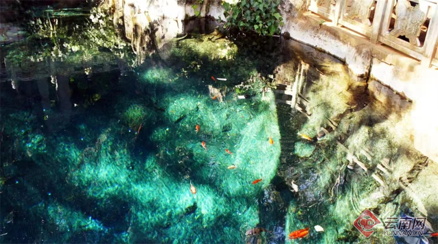 早安云南大理,大理蝴蝶泉景区与五朵金花