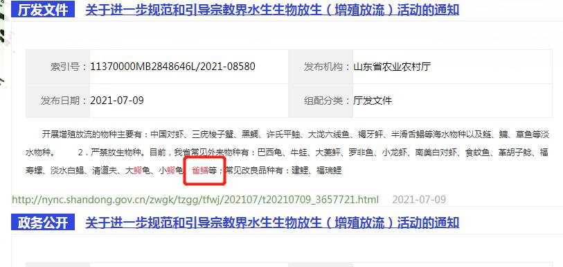 多地鳄雀鳝抓捕最新消息,鳄雀鳝来者不善随意放生涉嫌违法