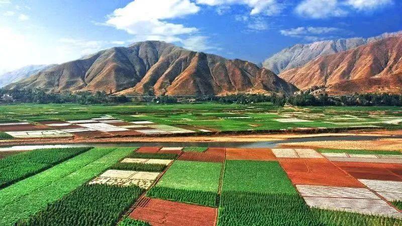 果蔬产业推动乡村振兴,发展果蔬产业助力乡村振兴