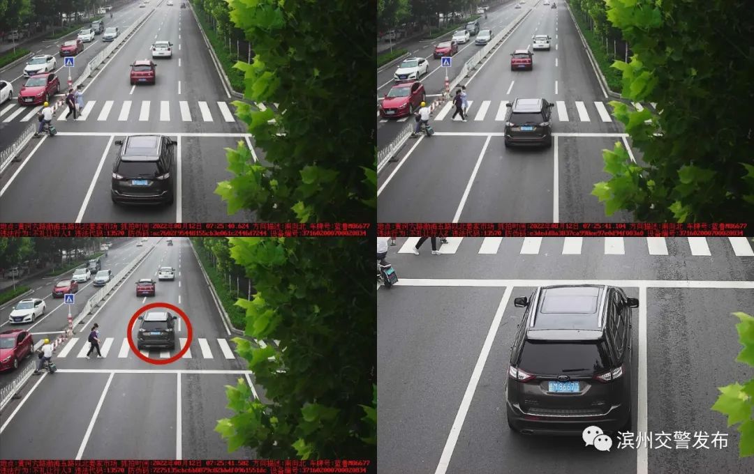 滨州不礼让行人扣多少分罚多少钱,山东滨州交警查酒驾不规范行为