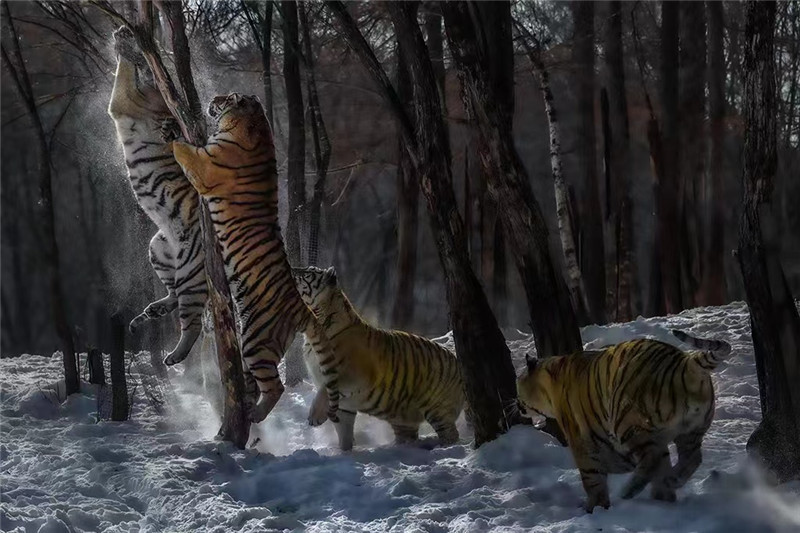 郭建华作品,郭建华北京专场