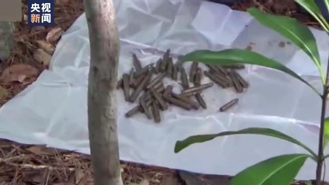 驻日美军基地内部居民区,美军驻日基地扰民