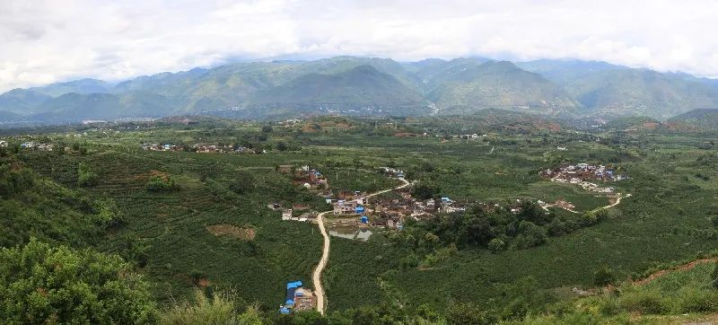 保山小粒咖啡现状,保山小粒咖啡未来的发展趋势