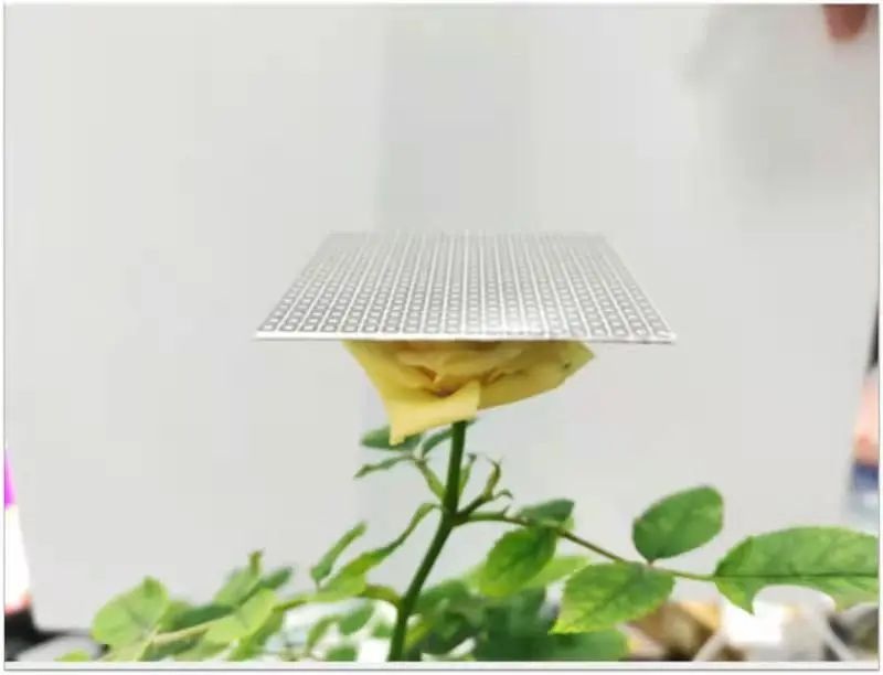 全球领先！何大平团队将纳米级石墨粉打造成石墨烯薄膜