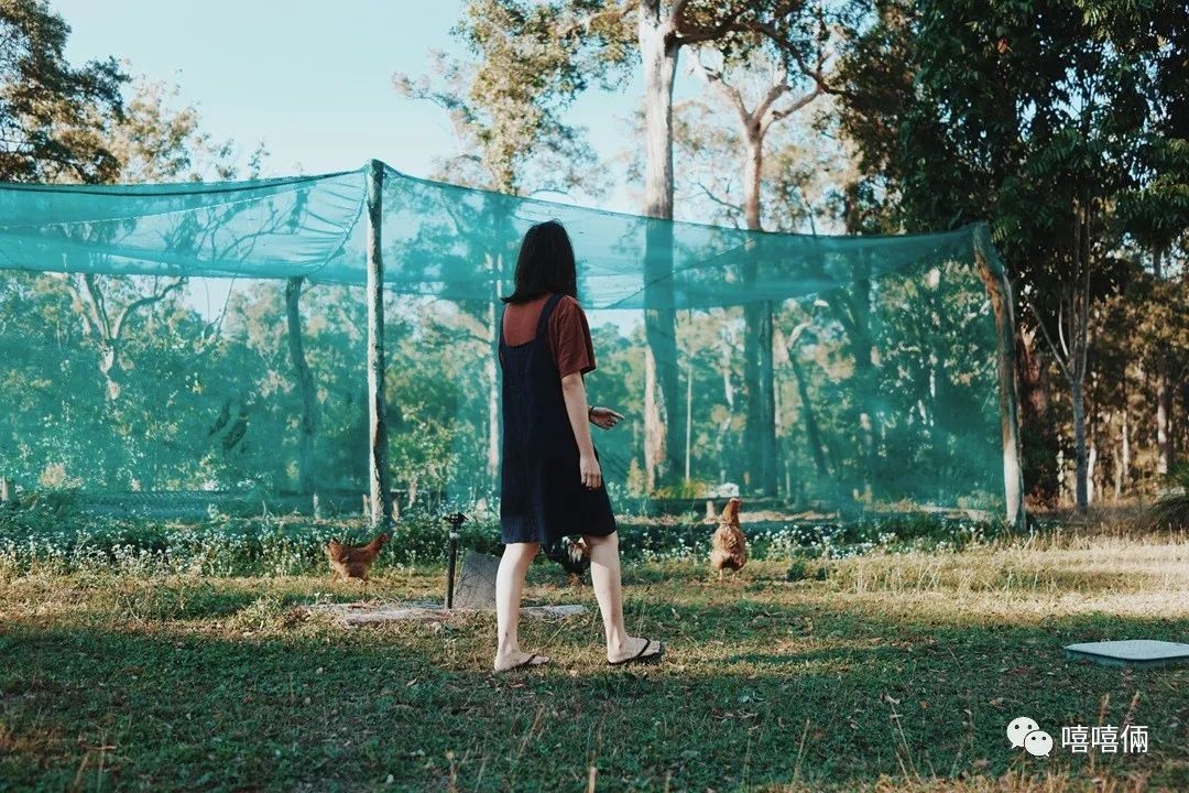 澳大利亚摘葡萄一个月能挣多少钱,澳大利亚农场打工女孩