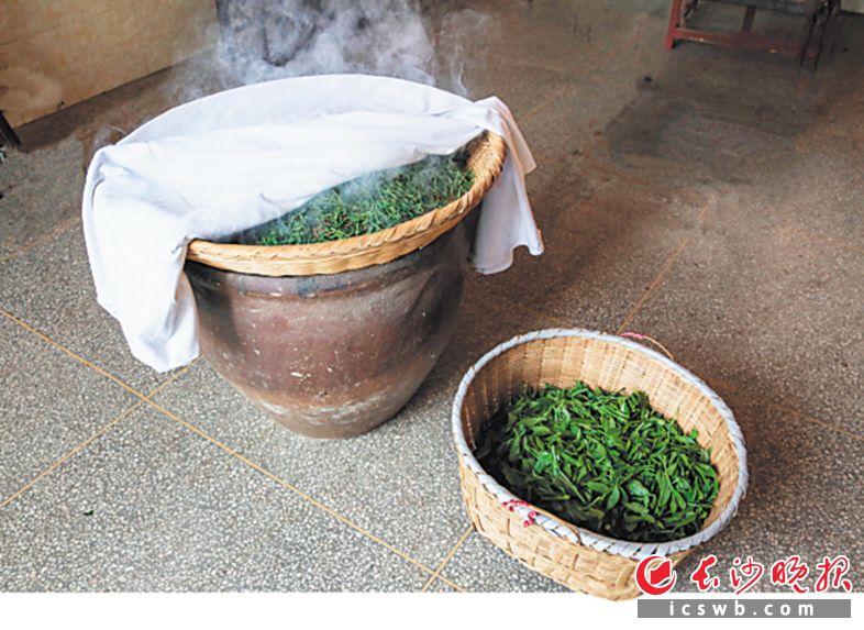 宁乡烟熏茶属于什么茶,宁乡烟熏青茶功效