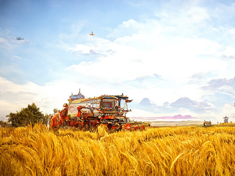 鍠滆繋鍏氱殑浜屽崄澶ф垜浠簲璇ュ浣曞仛,鍠滆繋鍏氱殑浜屽崄澶у畬鏁寸増mp3