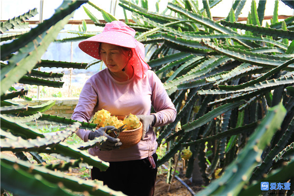 奋进新时代建功新征程变化,建功新时代奋进新征程总结