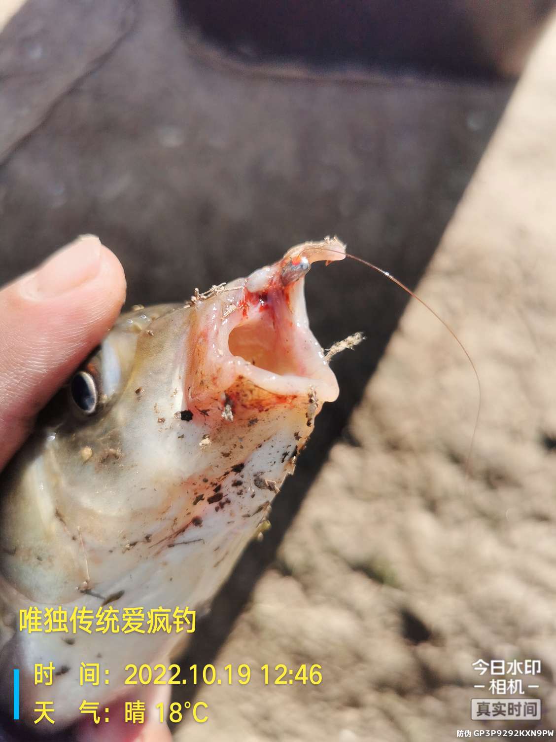 传统钓有风浪,传统钓线组如何应对风浪