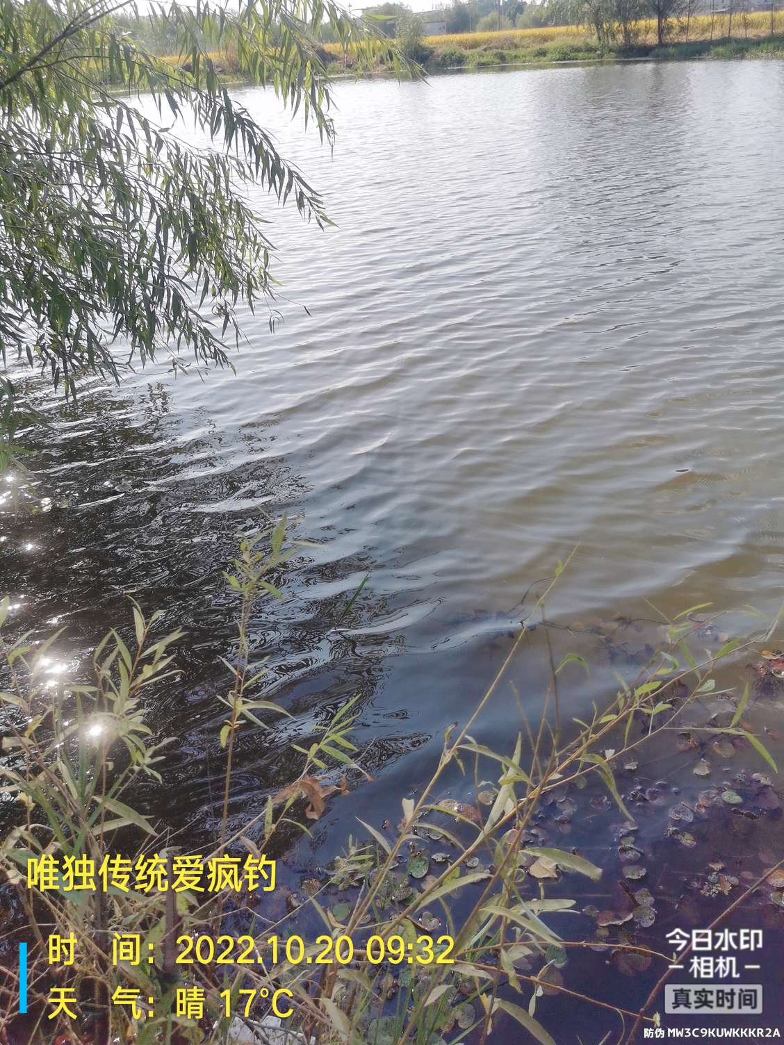 传统钓有风浪,传统钓线组如何应对风浪