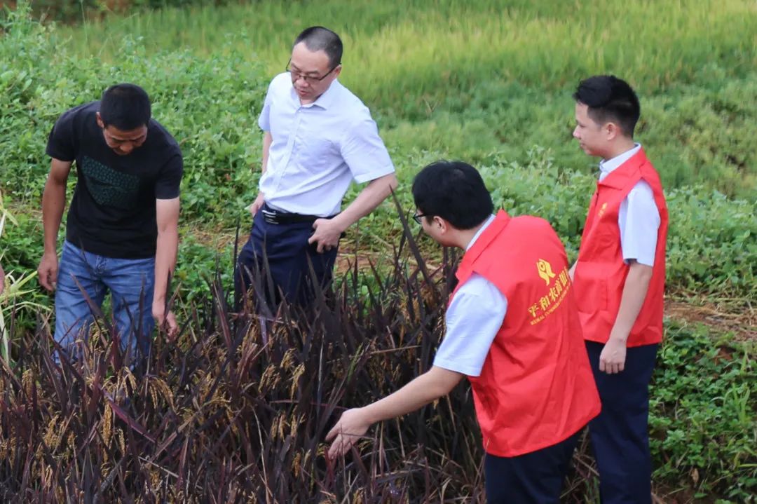 非凡十年看泸酒巨变,非凡十年出彩