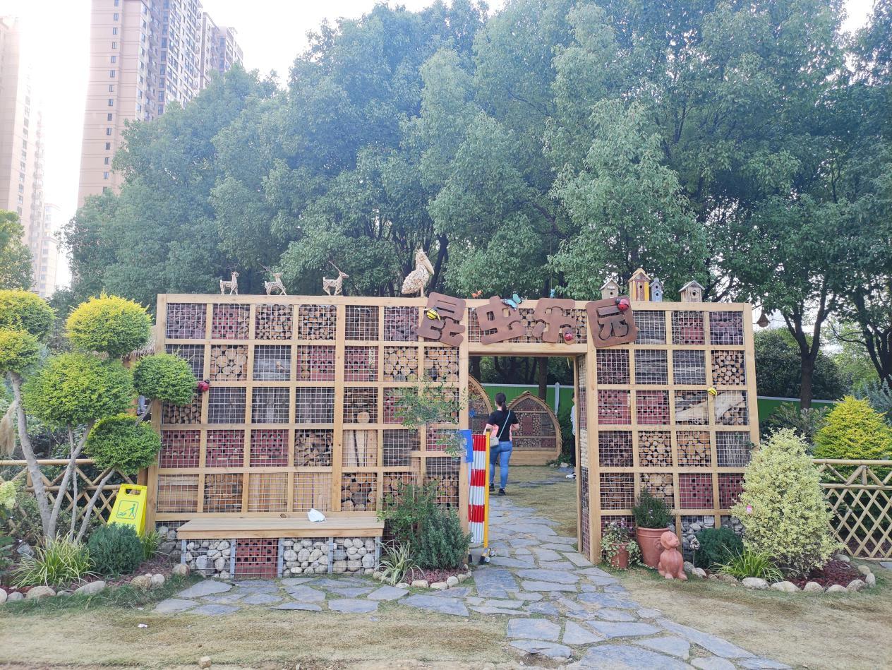 沙湖户外遛娃攻略一日游,沙湖带娃怎么玩便宜又好玩