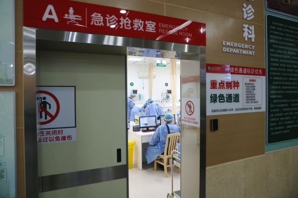 误食滴水观音的芋头,滴水观音有毒中毒案例