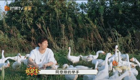 人是越来越红了，精神越来越不“正常”？