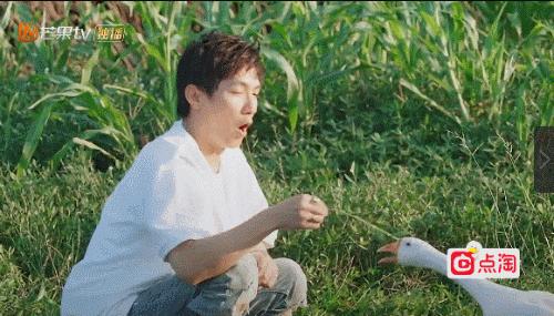 人是越来越红了，精神越来越不“正常”？