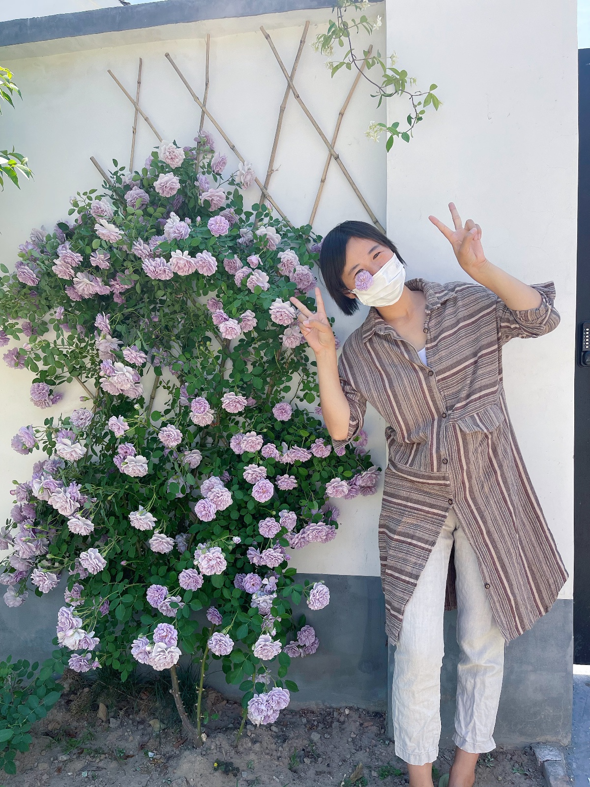 女子16年涨薪60倍回农村：小学没毕业，北漂期间学电脑，考会计证，成为产品经理，“踏实等风来”