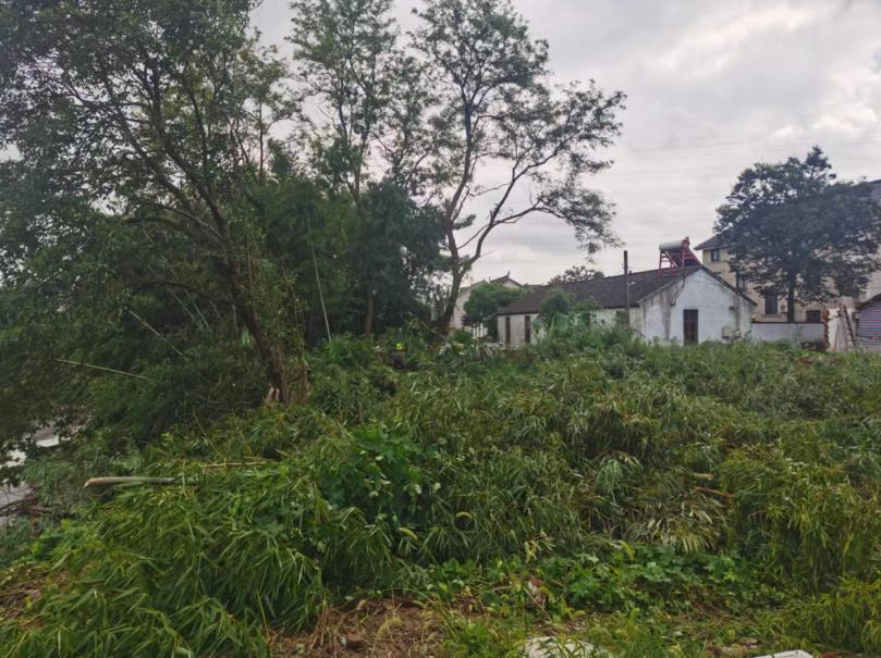 常熟市梅李镇：以聚沙成塔之力，创人居环境之美