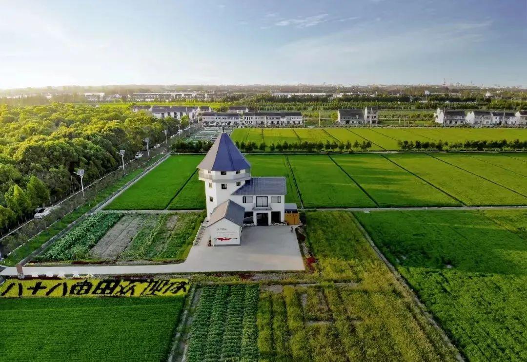 2020上海打卡排行榜前十名,上海十大私藏打卡地