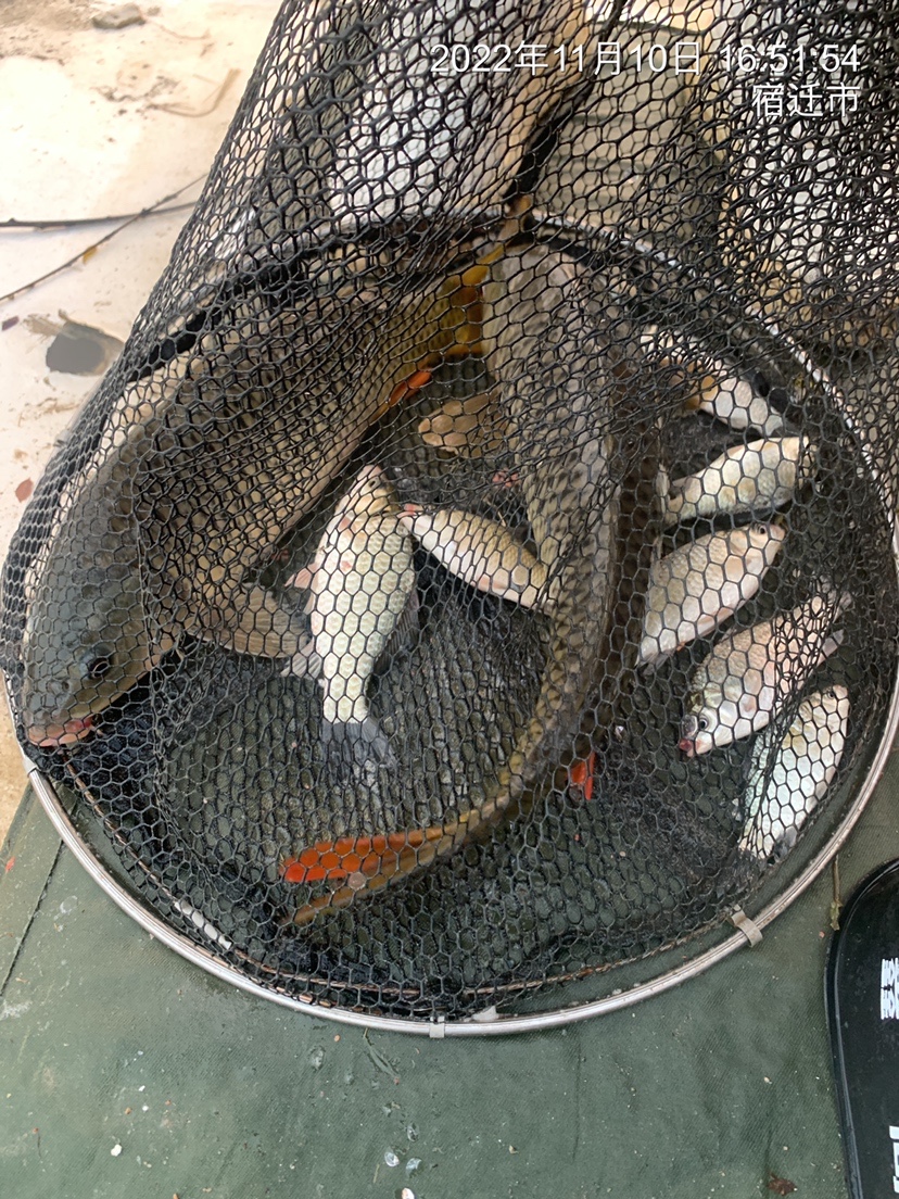 结交天下钓友分享钓鱼人生,跟朋友一起钓鱼技巧