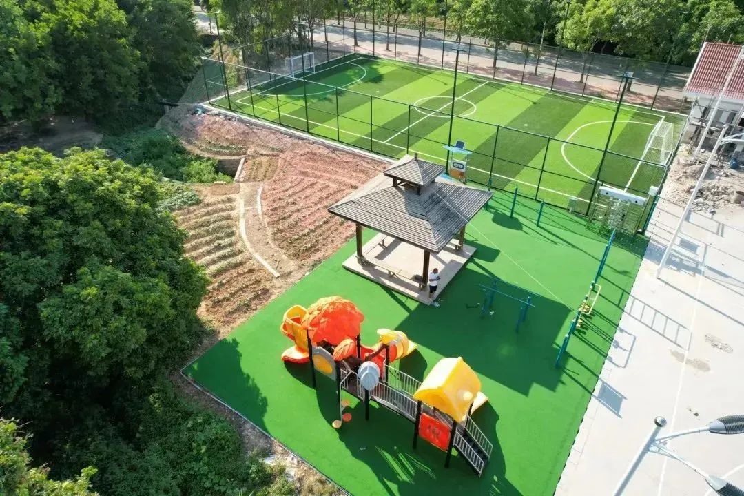 厦门运动景区,厦门周末好去处体育公园