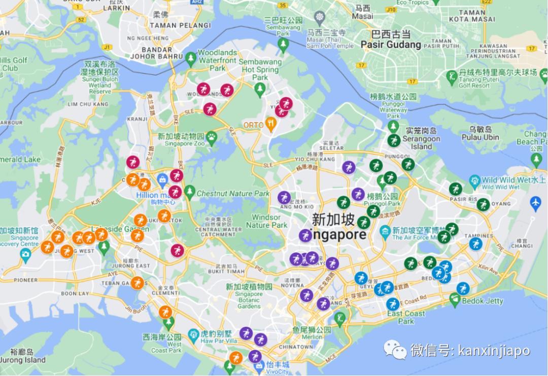 世界杯新加坡直播回放,世界杯新加坡直播半决赛