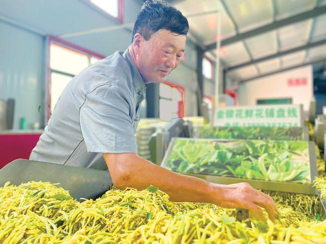 陇西中医药产业发展现状,甘肃定西中医药产业的现状