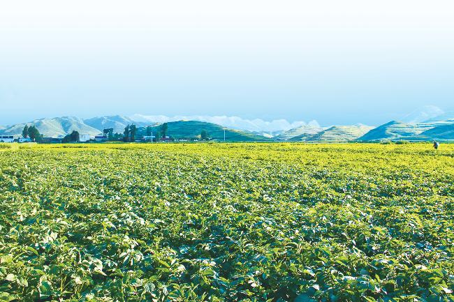 陇西中医药产业发展现状,甘肃定西中医药产业的现状