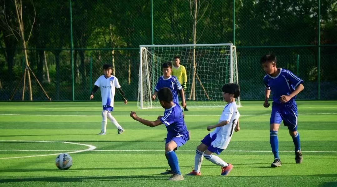 足球小将召集令,足球小将苏州奥体赛程表