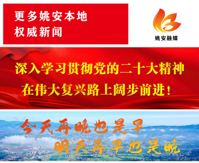 大江健三郎的书籍,大江健三郎作品集