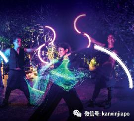 新加坡夜间动物园演出,新加坡夜间动物园表演预约