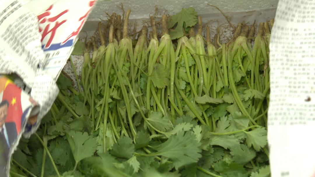 线上配送蔬菜,线上蔬菜批发配送