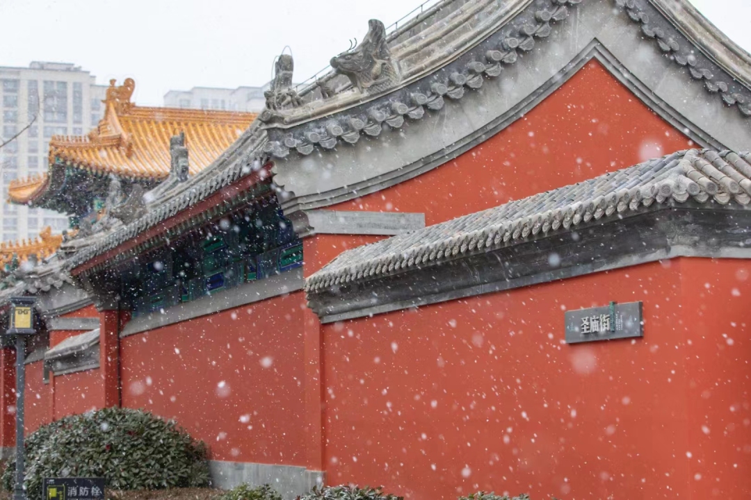 立冬过后这4款养生驱寒汤送给你,适合入冬后温补的汤