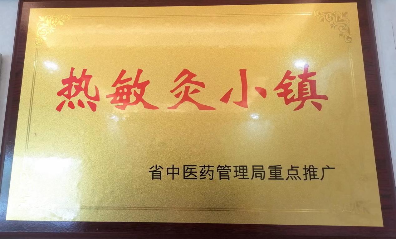 中国艾城·永修艾草产业园暨全国热敏灸示范县建设项目政校、政企合作签约仪式在永修吴城举行